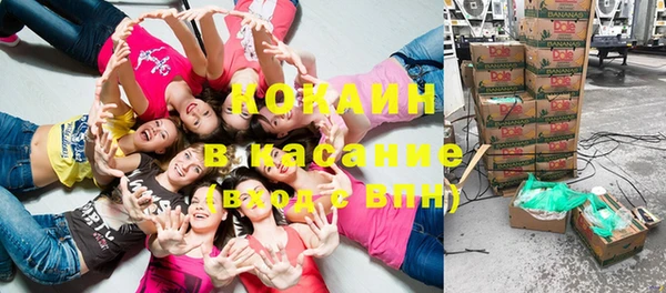 ГАЛЛЮЦИНОГЕННЫЕ ГРИБЫ Аркадак