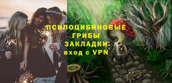 ГАЛЛЮЦИНОГЕННЫЕ ГРИБЫ Аркадак