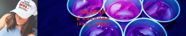 индика Армянск