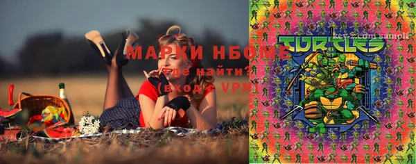 индика Армянск