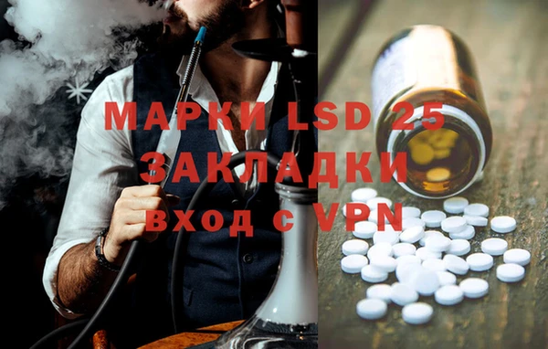 ГАЛЛЮЦИНОГЕННЫЕ ГРИБЫ Аркадак