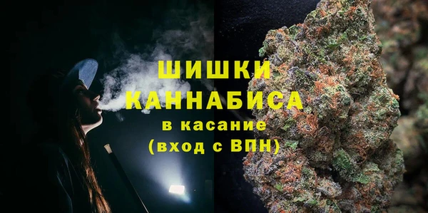 ГАЛЛЮЦИНОГЕННЫЕ ГРИБЫ Аркадак
