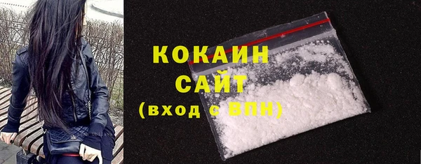 индика Армянск