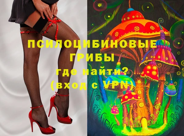 индика Армянск