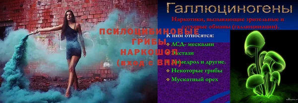 герыч Арсеньев