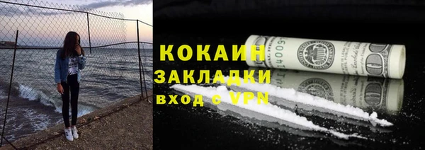 ГАЛЛЮЦИНОГЕННЫЕ ГРИБЫ Аркадак